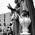 21042024- MG 3593