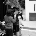 21042024- MG 3638