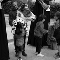 21042024- MG 3642