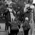 21042024- MG 3666