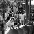 05072024- MG 6140