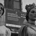 05072024- MG 6193