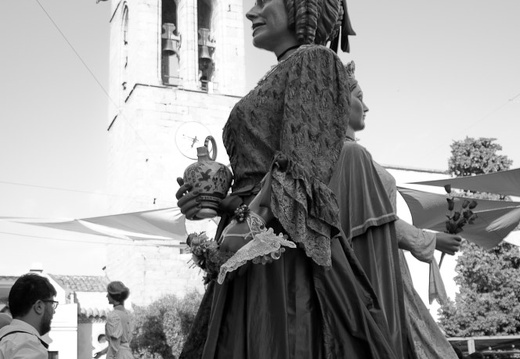 05072024- MG 6268