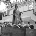 05072024- MG 6393