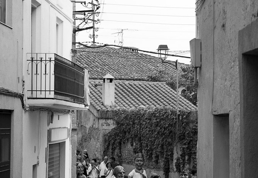 02082024- MG 6802