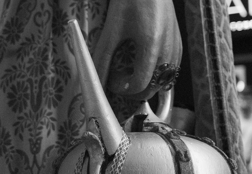 03082024- MG 8351