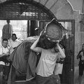 03082024- MG 8361