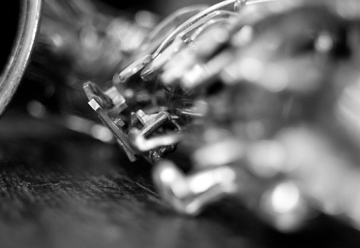 04082024- MG 8426