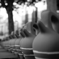 04082024- MG 8523