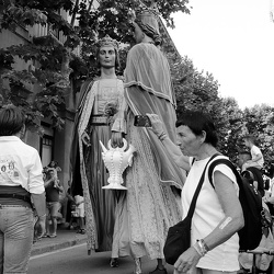 2025 Diada de la Flor 